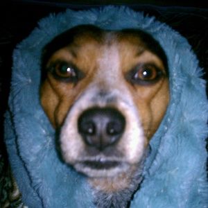 Meet your Posher, Marie